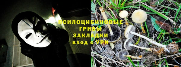 не бодяженный Алексин