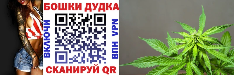 Бошки марихуана Amnesia  хочу наркоту  Жуковка 